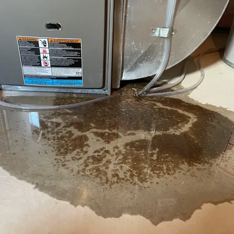 Appliance Leak Cleanup in Marriott-Slaterville, UT